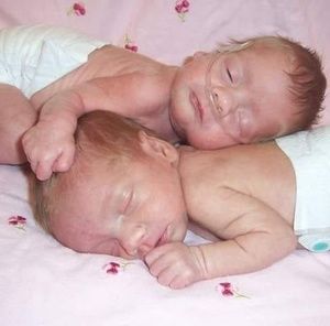 Meet your Posher, Leslie